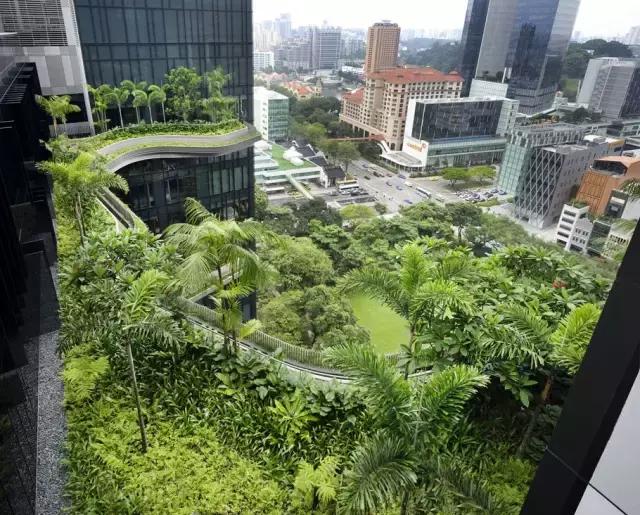 湖南完美体育生态环境建设有限公司,人造草坪假草皮,湖南雨水收集处理工艺